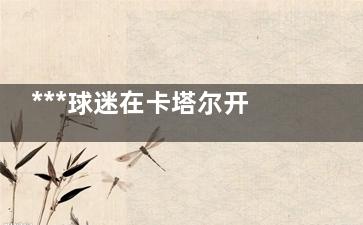 ***球迷在卡塔尔开顺风车偶遇米卢 ***的梦想米卢实现了！